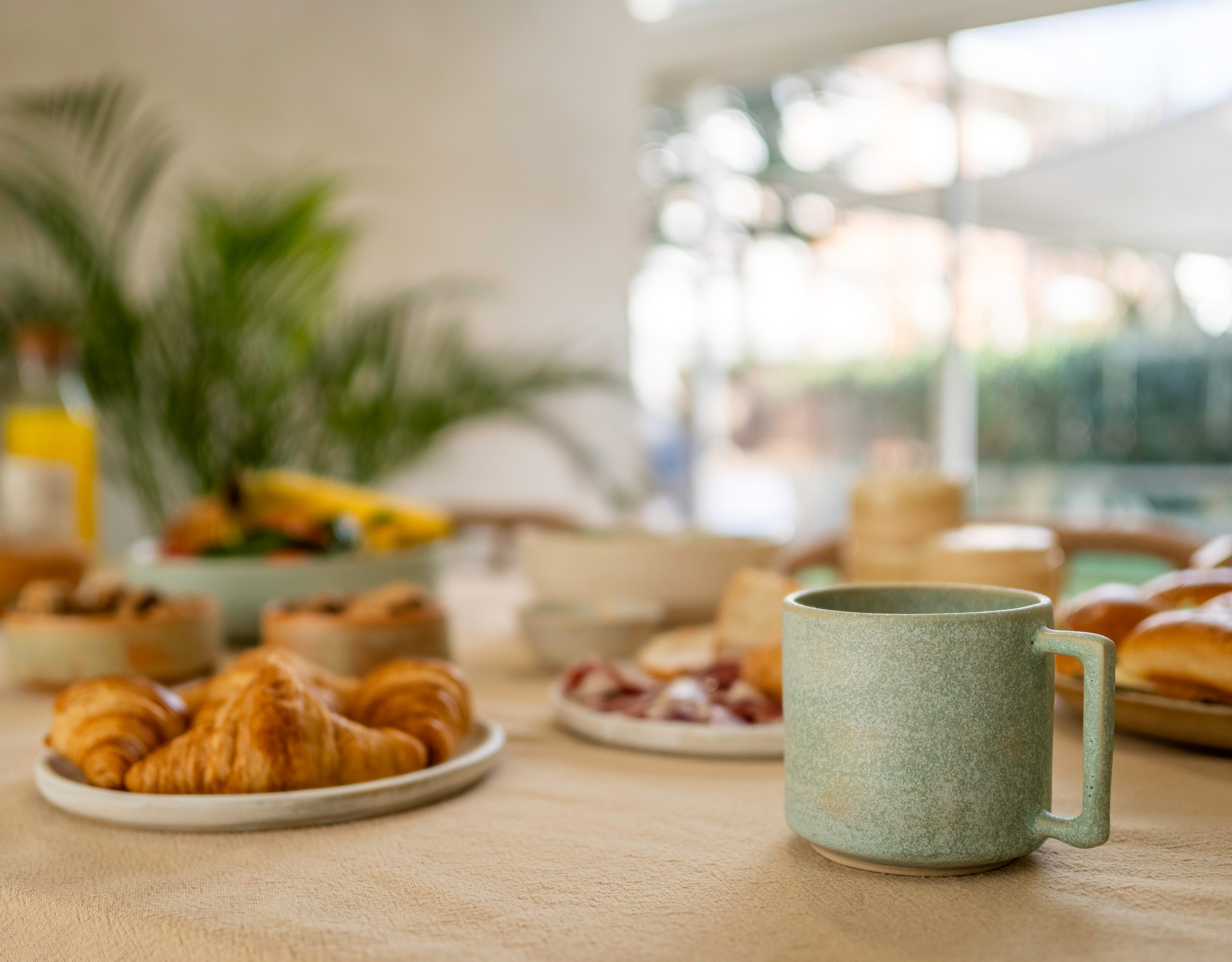 77e6cc08-ee48-4d04-b2dd-b987e1205a73 (1)